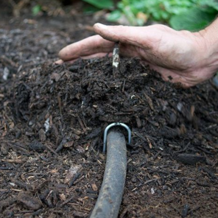Drip Irrigation